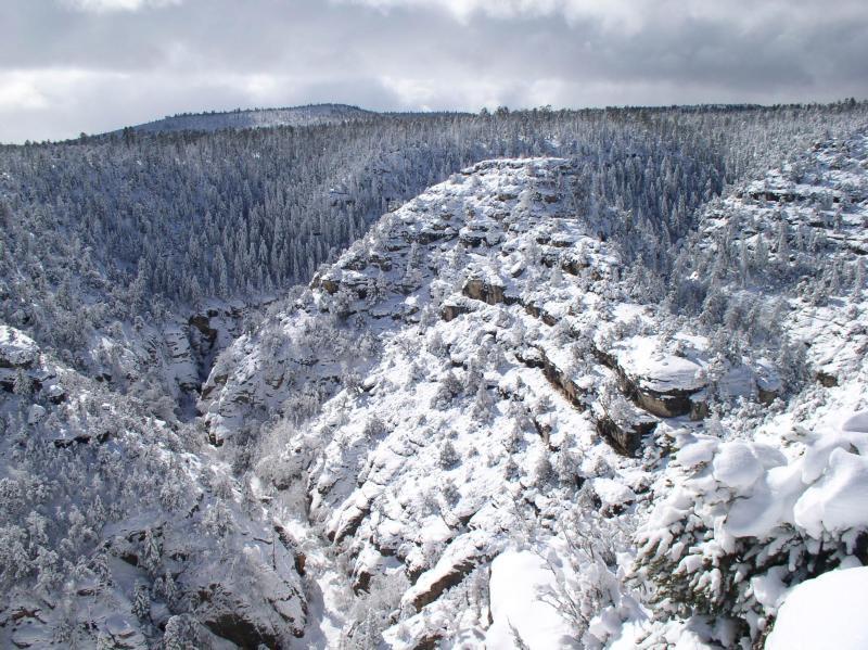 Así se ve el invierno en los parques nacionales de Estados Unidos WALNUT...