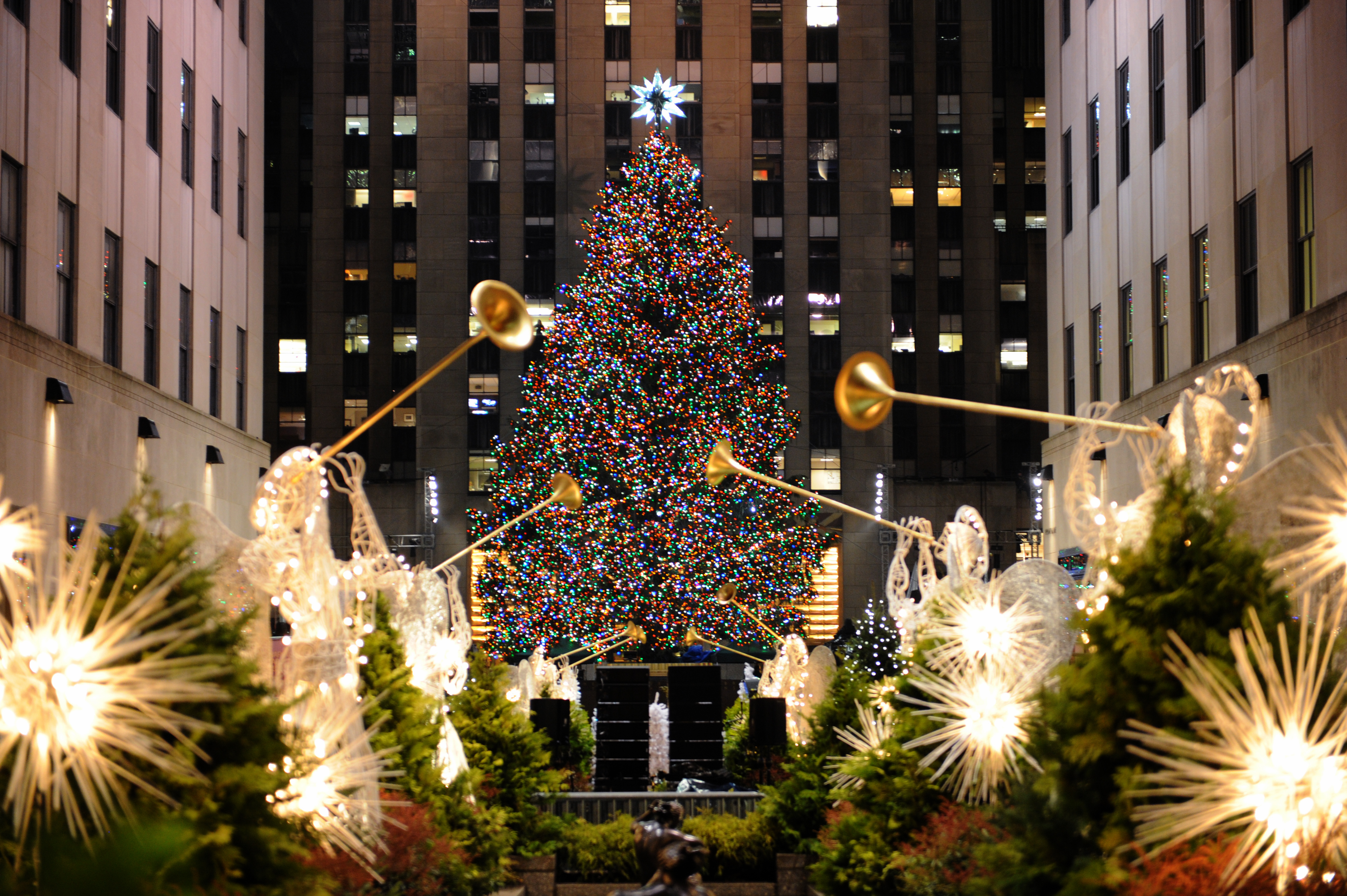 El Famoso rbol De Navidad Del Rockefeller Center Ya Est Camino A El Famoso rbol De Navidad Del Rockefeller Center Ya Est Camino A