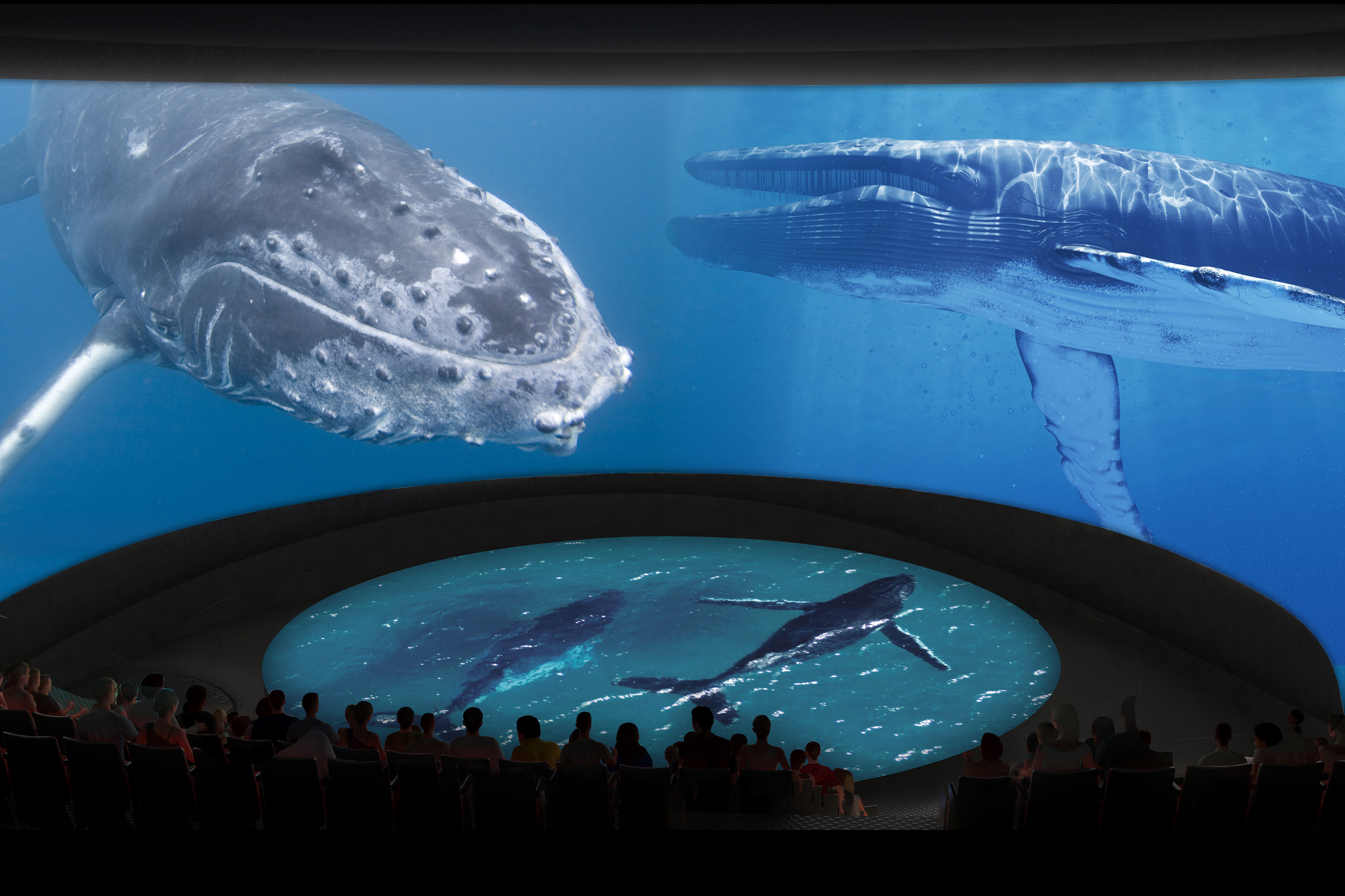 Aquarium Of The Pacific Groupon 92 - qpl227m