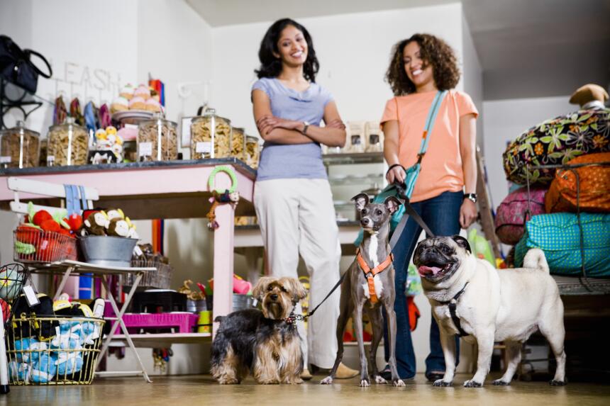Hábitos que todo 'pet lover' debe desarrollar
