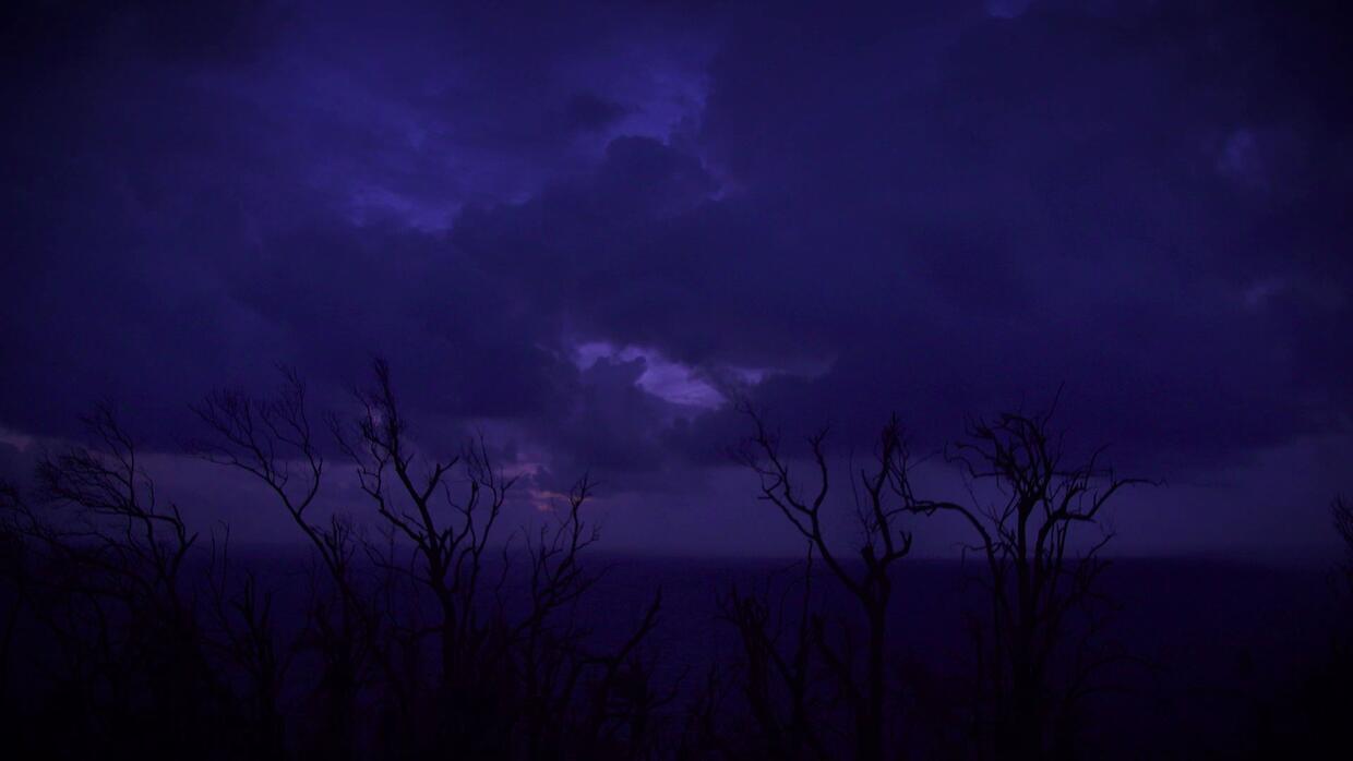 Life in the eye of the hurricane — Univision special report