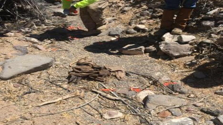 Encuentran restos de un inmigrante en la frontera de Arizona Restos2.jpg