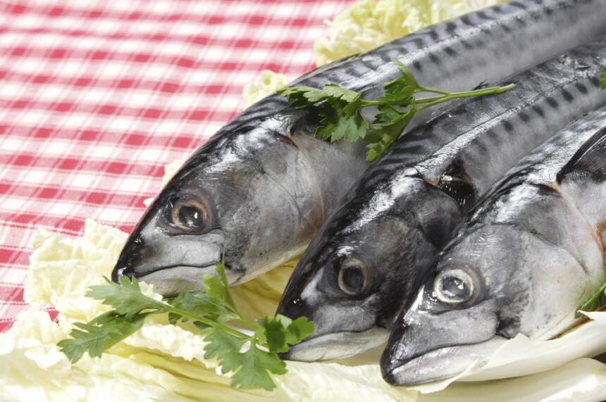 ¿Tus hijos no comen pescado? Checa ideas para que lo amen