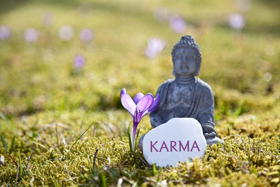 August 27 |Have an attitude fresh and rejuvenated - Univision 3 ¡Conoce el Karma de tu signo! ¿Es bueno o es malo?