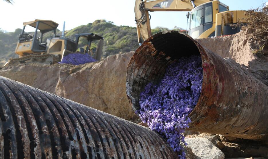 Preparativos la obra "Petal Drop LA" en una zona industrial de Los Ángeles