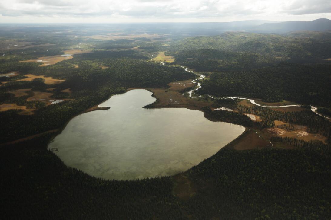 Cobre, oro o pescado: una mina masiva está amenazando la pesquería de sa...