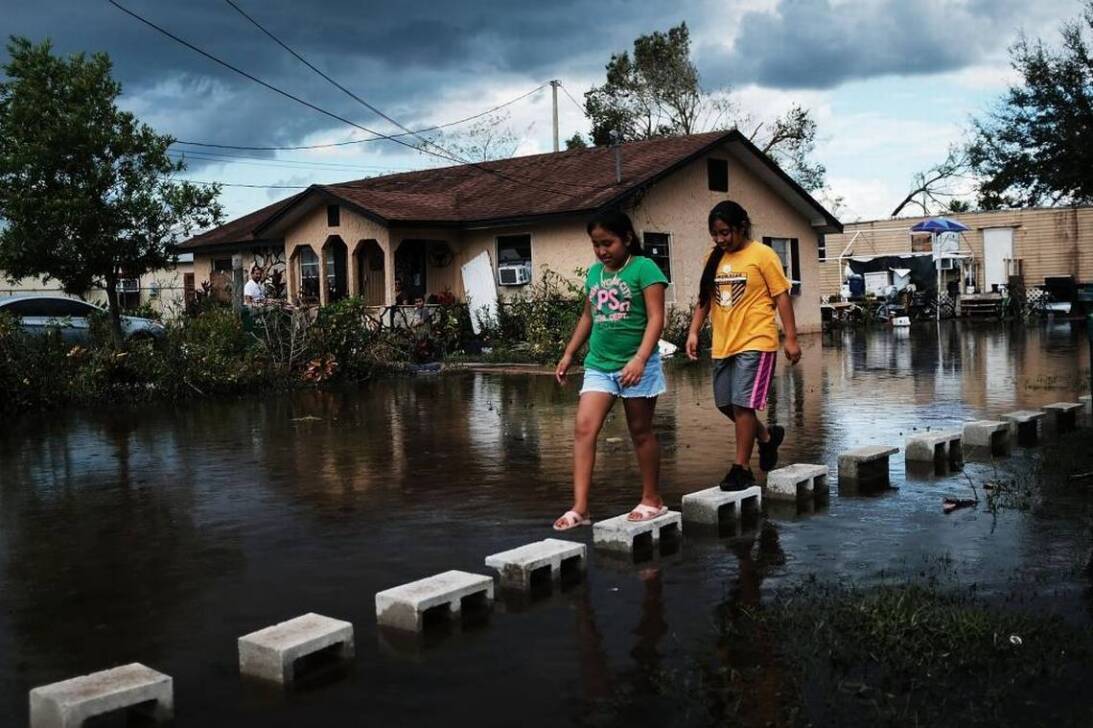Irma immokalee