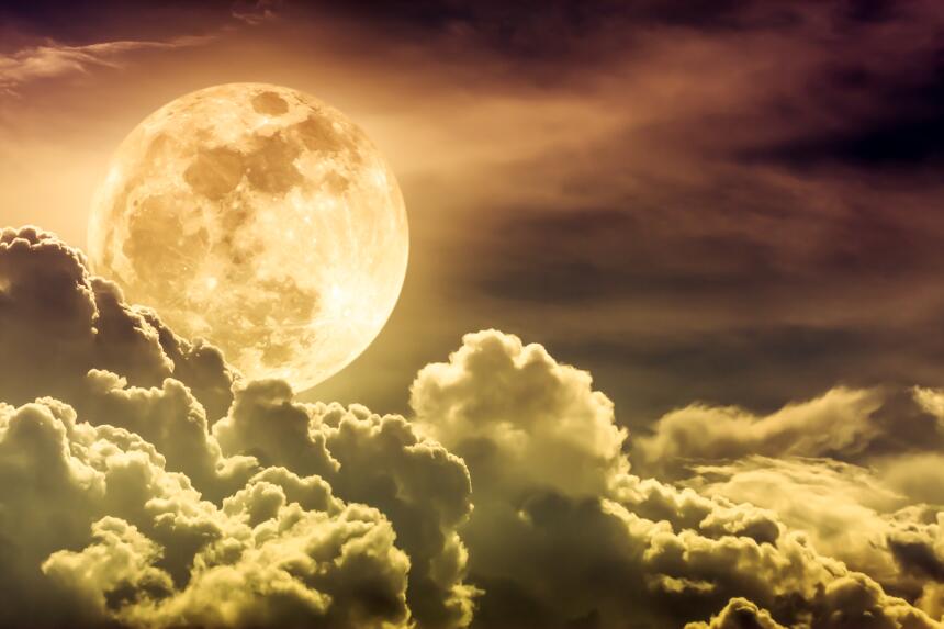 Lunas Signos