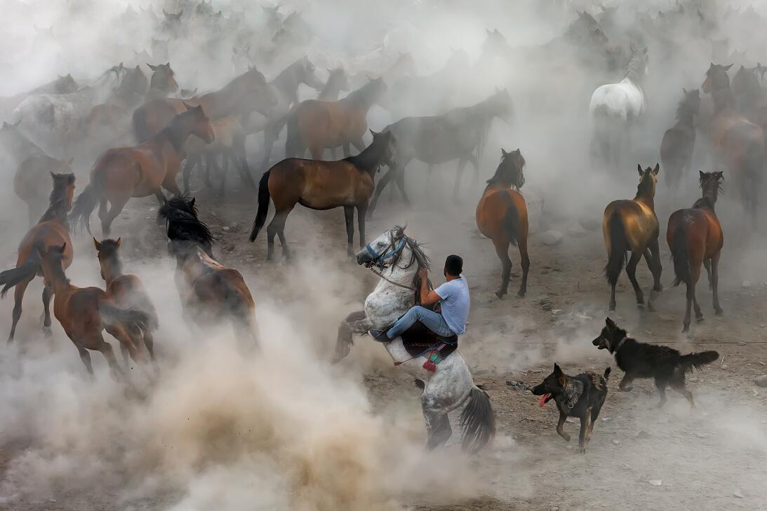9 instantes de la naturaleza que compiten en concurso mundial de foto 21...