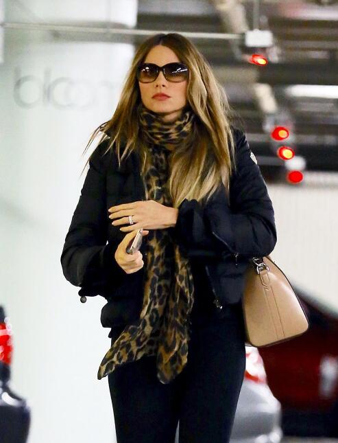 Sofía Vergara