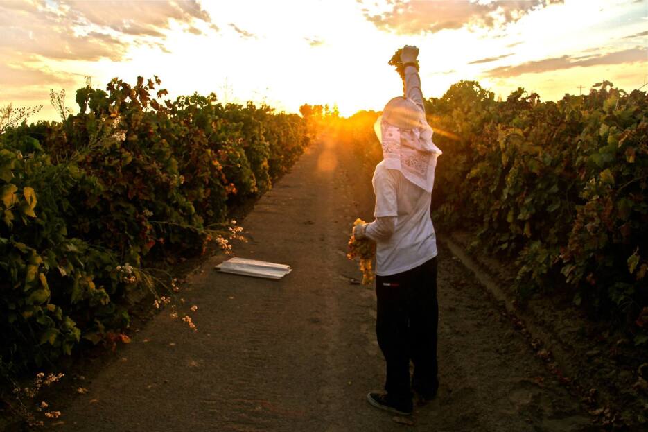 Bajo el sol.