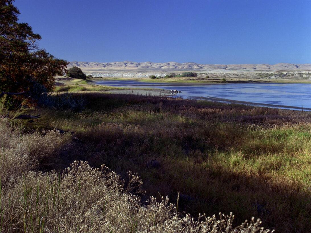 Hanford Reach (Washington)
