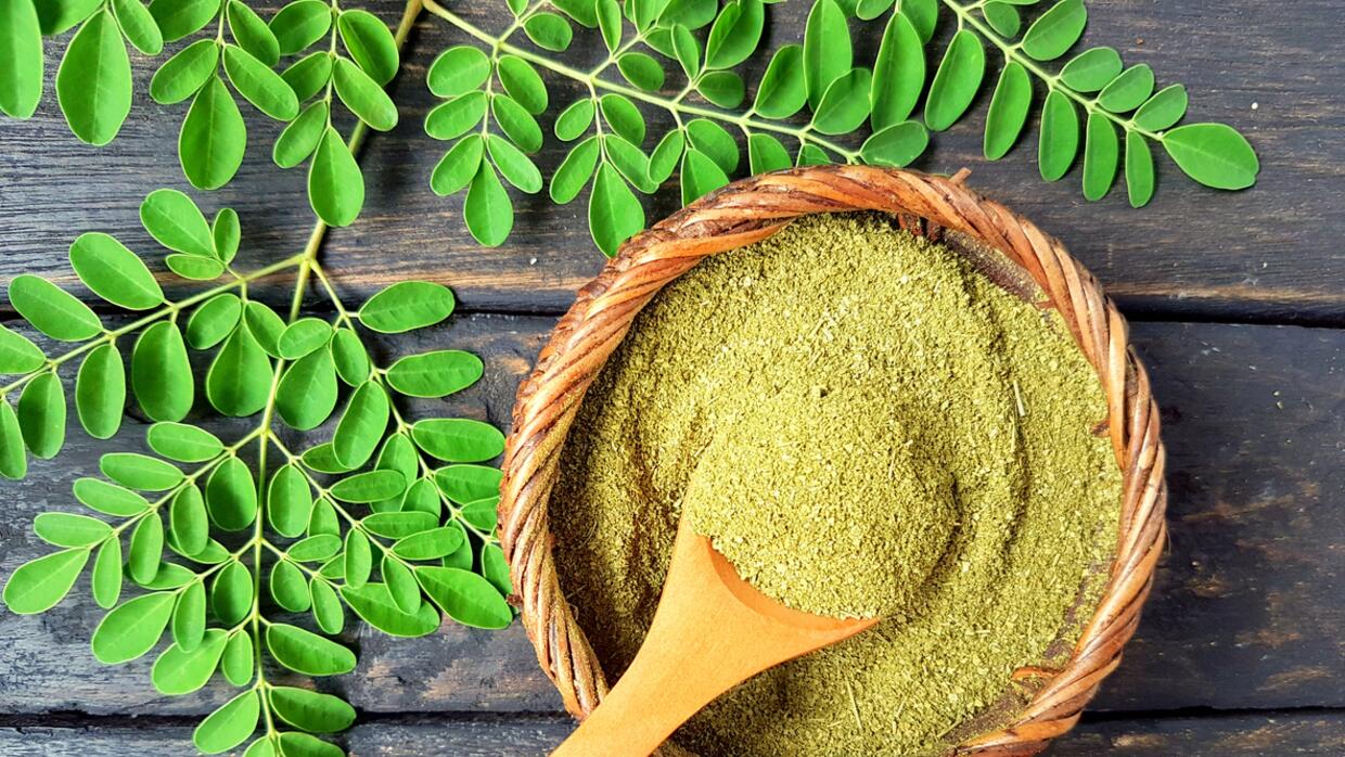 Resultado de imagen de moringa