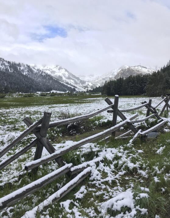 Nieve en California en junio