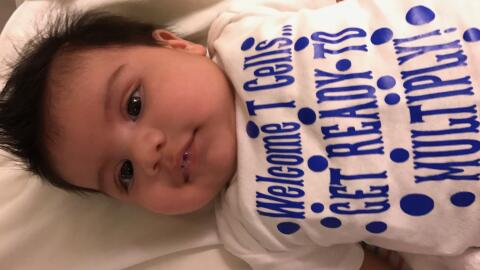 “Bienvenidas c&eacute;lulas T, prep&aacute;rense para multiplicarse”, se...