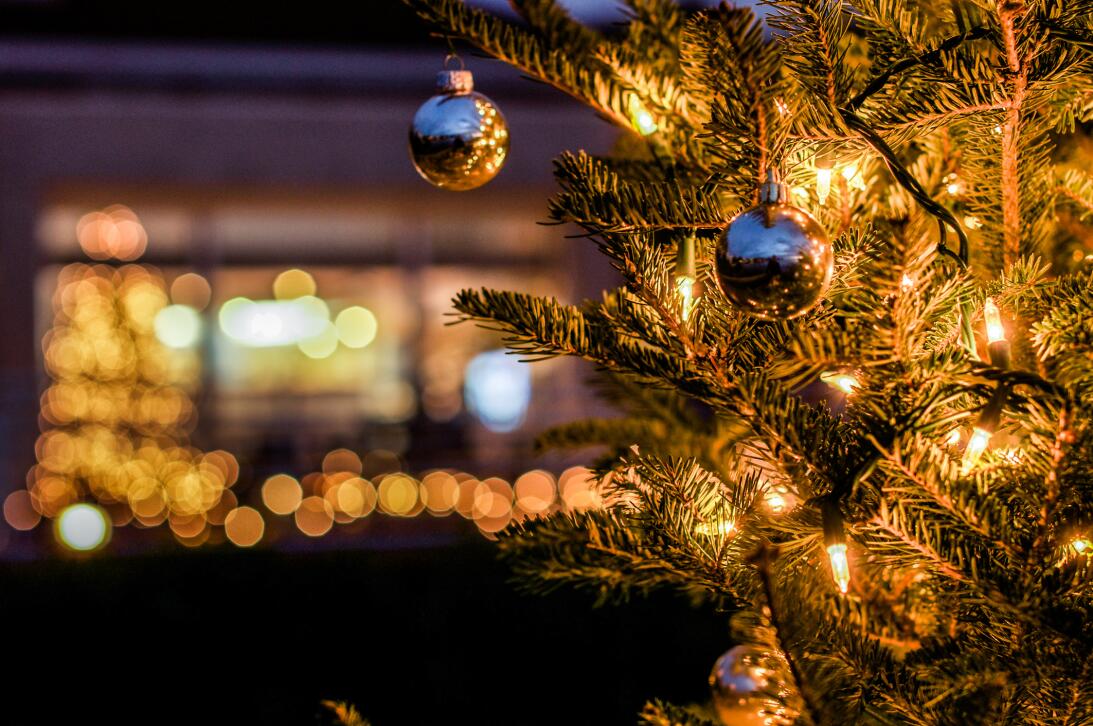 Estas son 7 simples formas de pasar una navidad más sostenible istock-50...