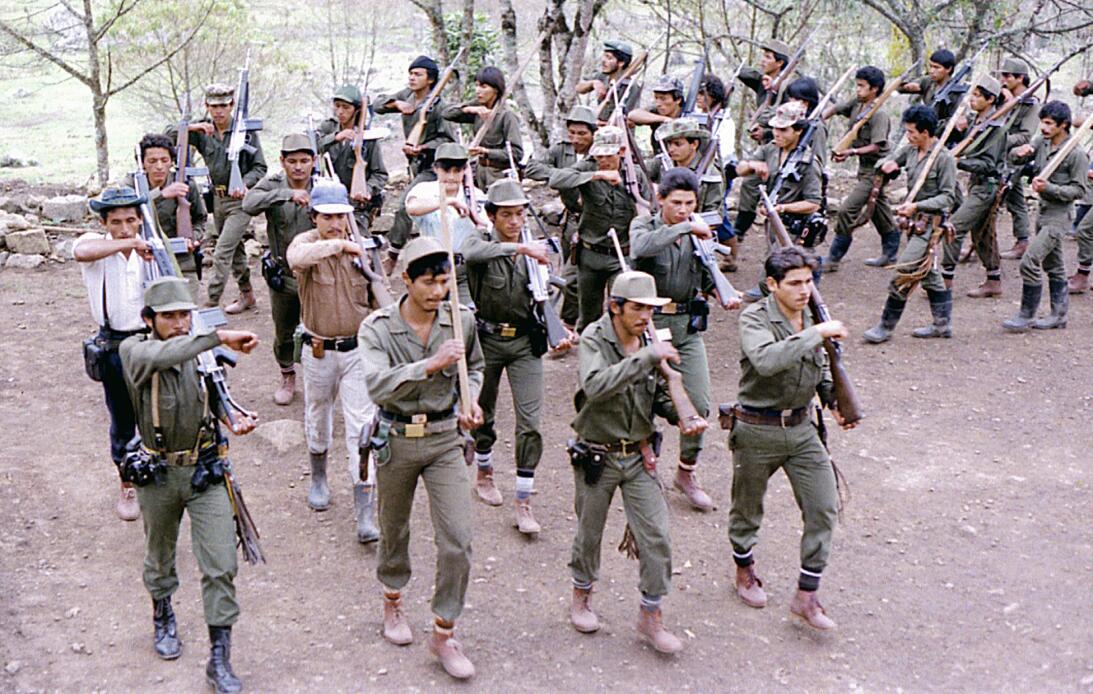 Farc 1980