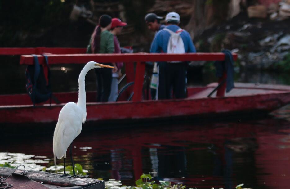Xochimilco
