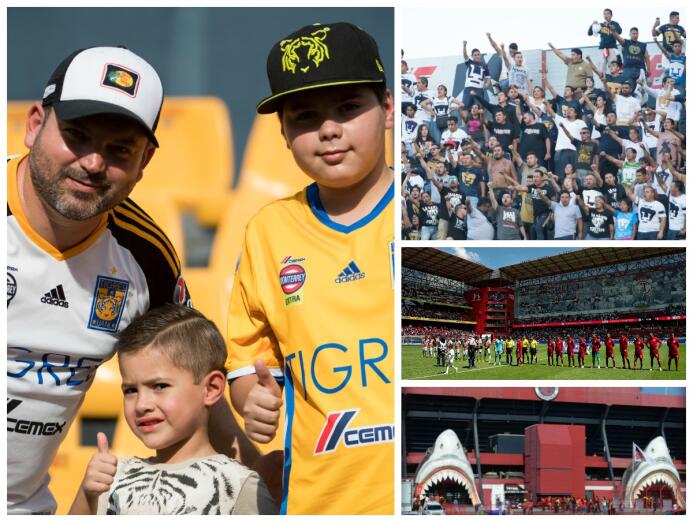 El 'clásico' felino se llevó el primer lugar en la asistencia de la jorn...