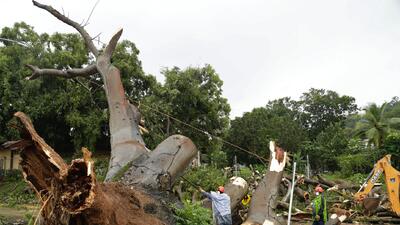 8420 decreto A ascienden huracán víctimas el por muertos paso del nueve