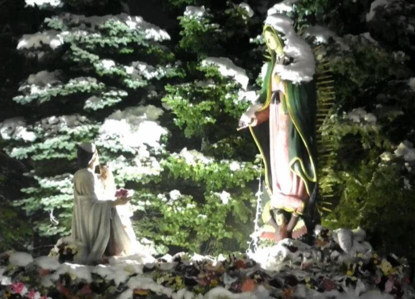 Imágenes de las mañanitas a la Virgen de Guadalupe desde Des Plaines