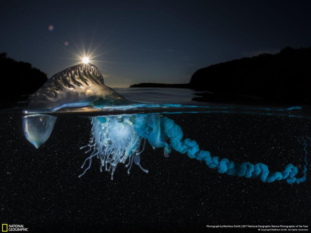 Premio Nat Geo 2017