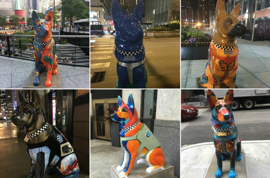 Amores perros Chicago