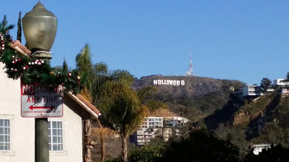 Imagen del letrero de Hollywood como 'Hollyweed' tomada por un v...