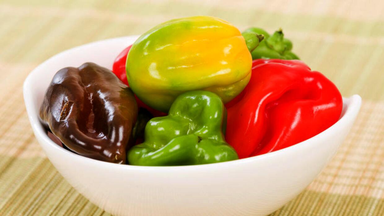 Como Se Llama El Aji Mas Picante Del Mundo
