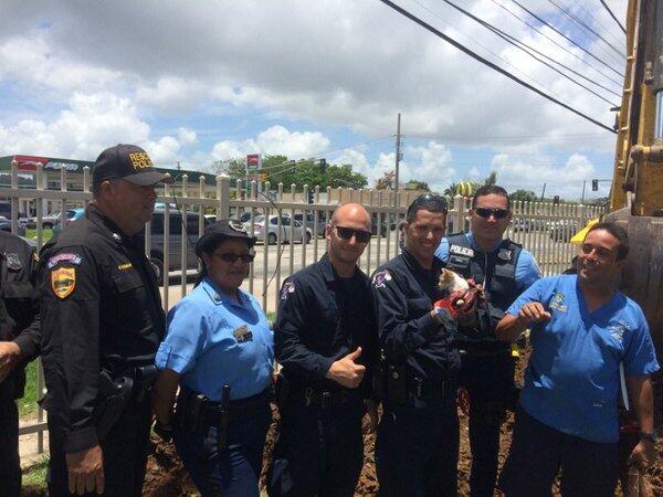 Rescatan un gato de una tubería luego de varias horas intentándolo. Los...