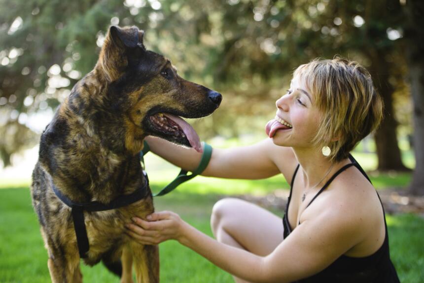 tu perro releva tu personalidad