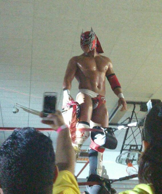 Lucha libre