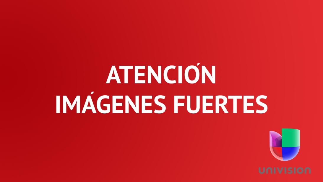 Estas fotografías pueden herir su sensibilidad. 